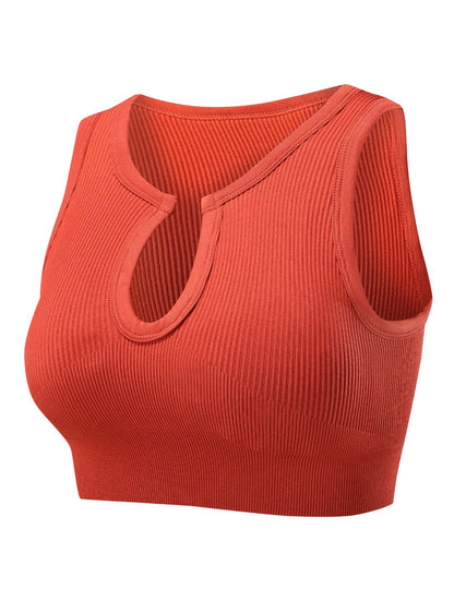 Form-Fitting Crop Top