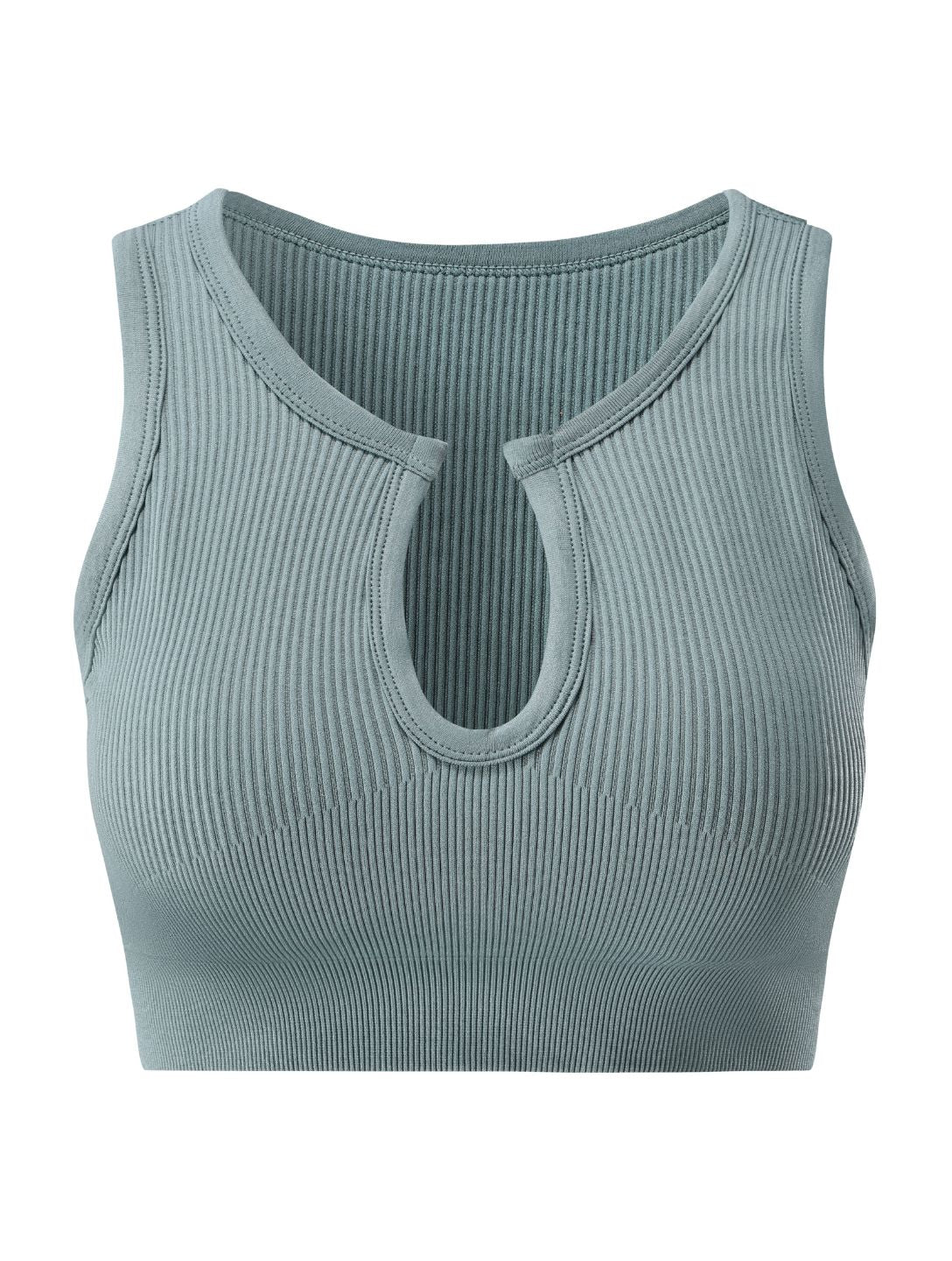 Form-Fitting Crop Top